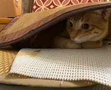 梔C〖戵w蠎6╄f?	?3U?,〞l?"zq涶梧?L獗Bd7的简单介绍-凯发官网入口